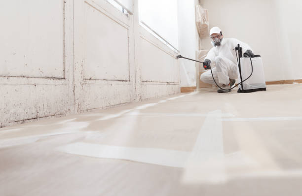 24/7 Emergency Mold Remediation experts in Woodbury, NJ