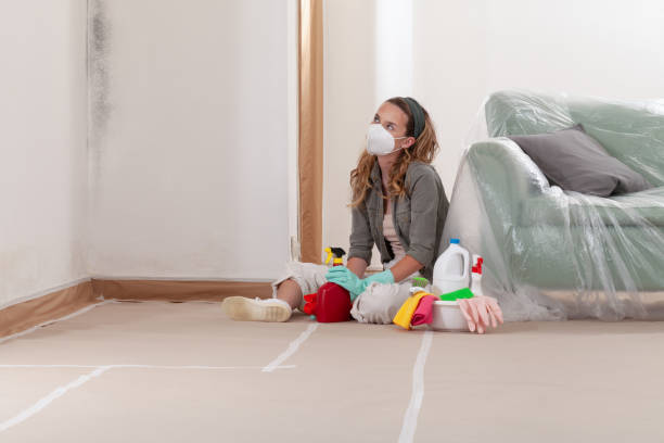 Reliable Mold Remediation contractor in Woodbury, NJ by Mold Remediation HQ